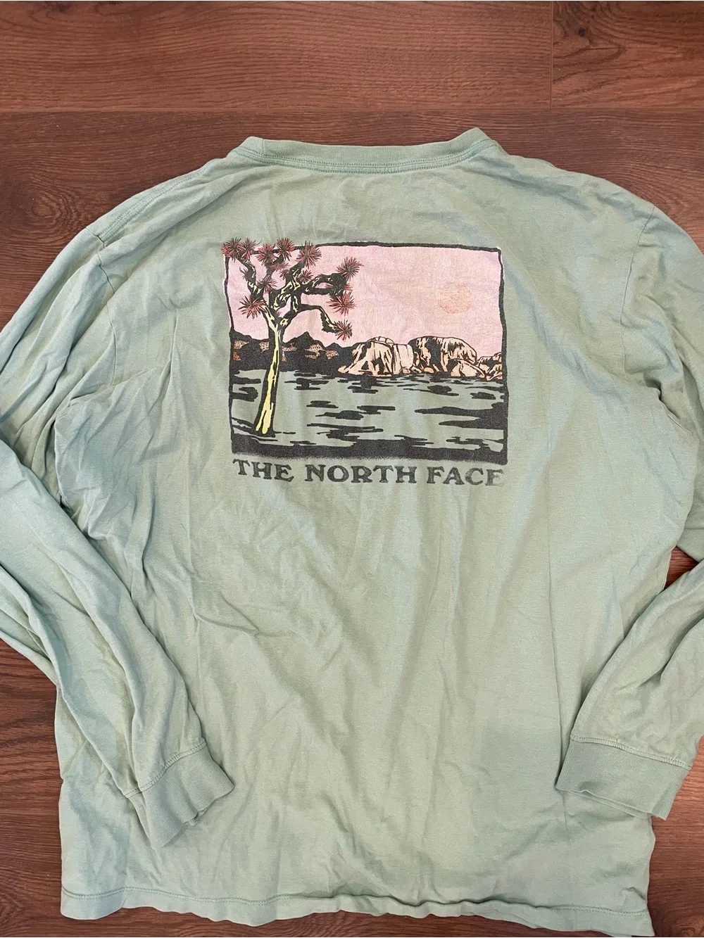 The North Face Mint Green Scenic Back Graphic Long Sleeve Shirt